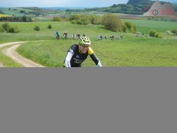 2013 (Marathon EM)